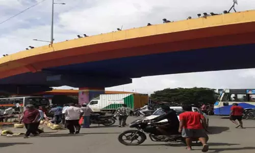 திருச்சி ரோடு மேம்பால சுவரில் மோதிய விற்பனை பிரதிநிதி தூக்கிவீசப்பட்டு சாவு திருச்சி ரோடு மேம்பால சுவரில் மோதிய விற்பனை பிரதிநிதி தூக்கிவீசப்பட்டு சாவு