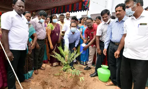 ஒரு லட்சம் மரக்கன்றுகள் நடும் பணி