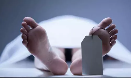 சரக்கு வேன் மோதி தொழிலாளி பலி சரக்கு வேன் மோதி தொழிலாளி பலி