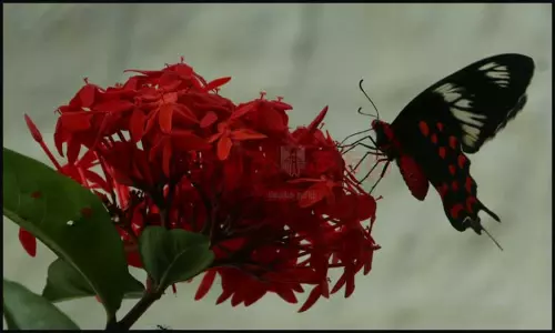 இன்றைய புகைப்படத் தொகுப்பு (15-07-2022)