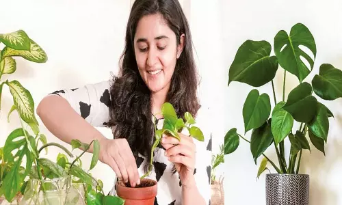 மழைக்காலத்தில் செடிகளை பராமரிக்க எளிய குறிப்புகள்