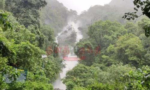 தொடரும் கன மழை: கோவை குற்றாலத்தில் வெள்ளப்பெருக்கு