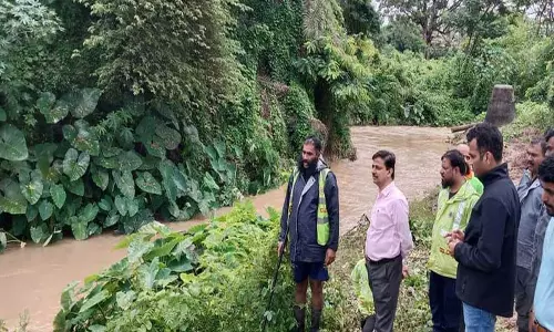 சிக்கமகளூரு மாவட்டத்தில் 199 வீடுகள் சேதம்; கலெக்டர் ரமேஷ் தகவல்