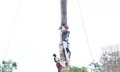 செங்குறிச்சி பகவதியம்மன் கோவில் திருவிழா; கழுமரம் ஏறிய இளைஞர்கள் செங்குறிச்சி பகவதியம்மன் கோவில் திருவிழா; கழுமரம் ஏறிய இளைஞர்கள்