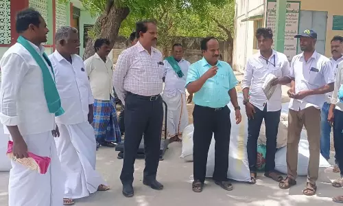 மின்னணு ஏலத்தில் பருத்தி விற்பனை மின்னணு ஏலத்தில் பருத்தி விற்பனை