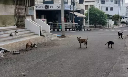 புகாா் பெட்டி