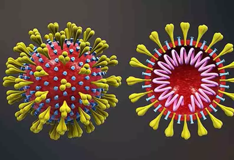 18 பேருக்கு கொரோனா