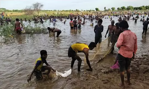 தோகைமலை அருகே நாயக்காகுளத்தில் மீன்பிடி திருவிழா