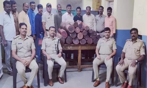 ரூ.15 லட்சம் சந்தன மரக்கட்டைகள் பறிமுதல்; வியாபாரி கைது