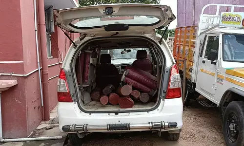 ரூ.12 லட்சம் செம்மர கட்டைகளுடன் வந்த கார் மரத்தில் மோதியதால் பரபரப்பு