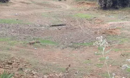 சேதுபாவாசத்திரம் கடைமடை பகுதியில் இன்னும் நிரம்பாத குளங்கள்