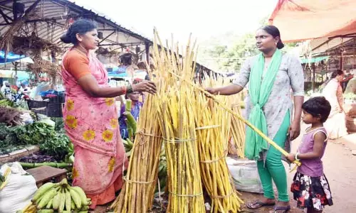 இன்று ஆடி 1-ந் தேதி: ஈரோட்டில் தேங்காய் சுடும் பண்டிகை கோலாகலம் இன்று ஆடி 1-ந் தேதி: ஈரோட்டில் தேங்காய் சுடும் பண்டிகை கோலாகலம்