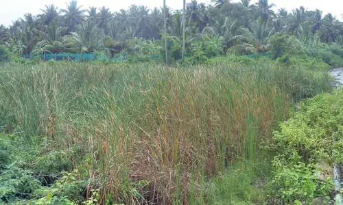 புதர் மண்டி கிடக்கும் சூலக்கல் ஆறு தூர்வாரப்படுமா?