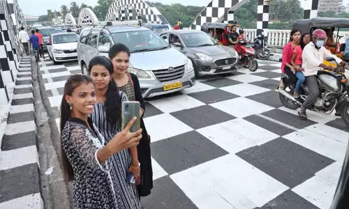 நேப்பியர் பால செஸ் தீம்: செல்பி எடுப்பதில் ஆர்வம் காட்டும் வாகன ஓட்டிகள்