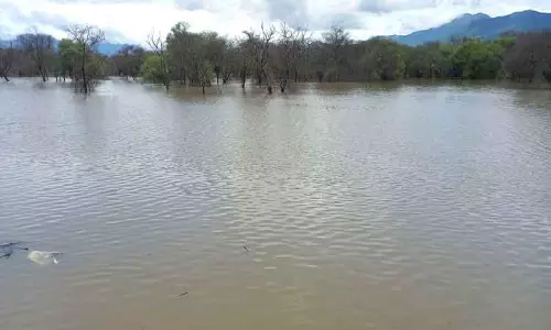 கோவையில் பெரும்பாலான குளங்கள் நிரம்பின