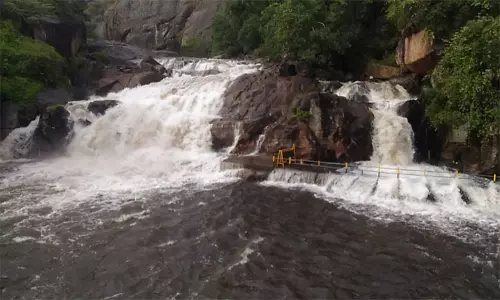தொடர் மழை: மணிமுத்தாறு அருவியில் குளிக்க 5-வது நாளாக தடை