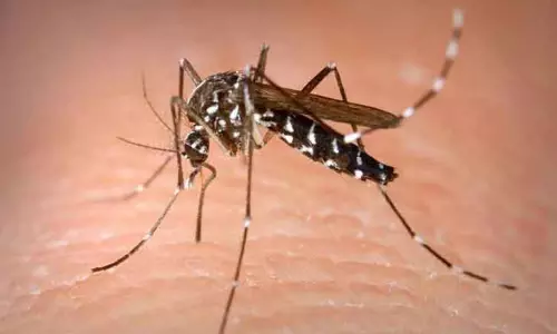 16 வயது சிறுவனுக்கு டெங்கு காய்ச்சல்