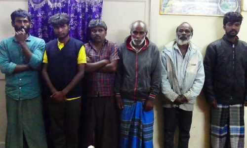 போதை காளான், கஞ்சா விற்ற 6 பேர் கைது போதை காளான், கஞ்சா விற்ற 6 பேர் கைது