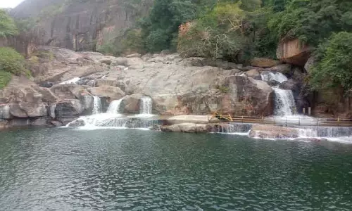 மணிமுத்தாறு அருவியில் இன்று முதல் குளிக்க அனுமதி