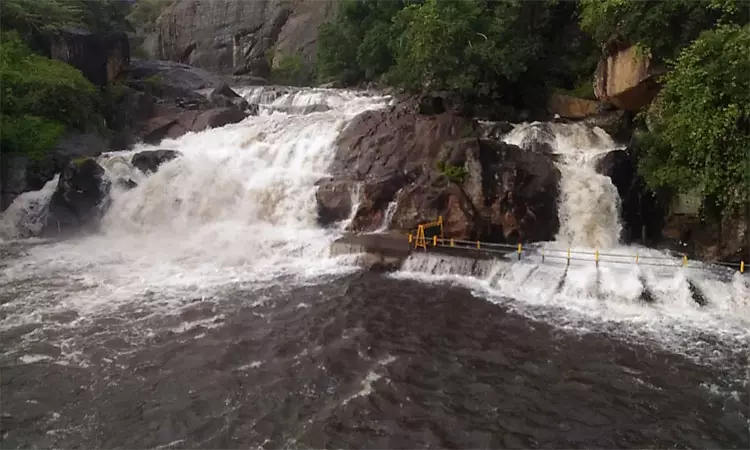 தொடர் மழை: மணிமுத்தாறு அருவியில் குளிக்க 5-வது நாளாக தடை