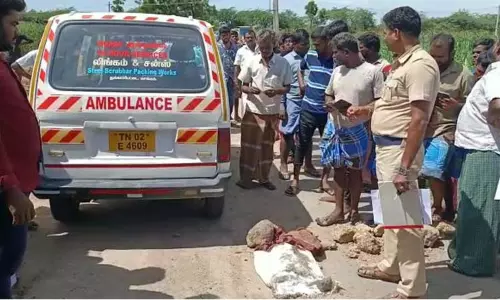திருவண்ணாமலை: டிராக்டர் மோதியதில் 7 மாத கர்ப்பிணி, 1½ வயது குழந்தை பரிதாப பலி திருவண்ணாமலை: டிராக்டர் மோதியதில் 7 மாத கர்ப்பிணி, 1½ வயது குழந்தை பரிதாப பலி
