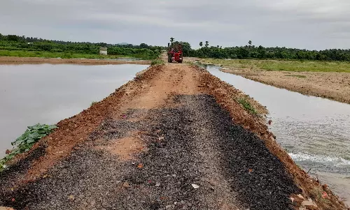 அகரம்சேரி பாலாற்றில் தற்காலிக சாலை
