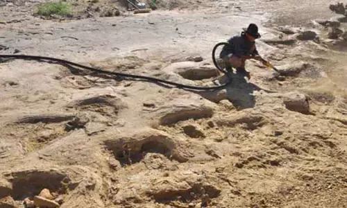 சிலி நாட்டில் ஆயிரக்கணக்கான டைனோசர் கால் தடங்கள் கண்டுபிடிப்பு சிலி நாட்டில் ஆயிரக்கணக்கான டைனோசர் கால் தடங்கள் கண்டுபிடிப்பு