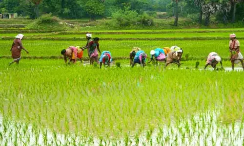 12-வது தவணைத்தொகை பெற விவசாயிகளின் நில ஆவணம் சரிபார்ப்பு