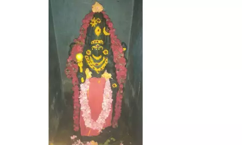 சங்கராபுரம் பகுதி  கோவில்களில் தேய்பிறை அஷ்டமி வழிபாடு