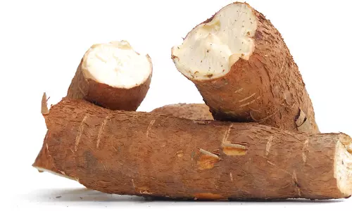 மரவள்ளி கிழங்கு விலை உயர்வு