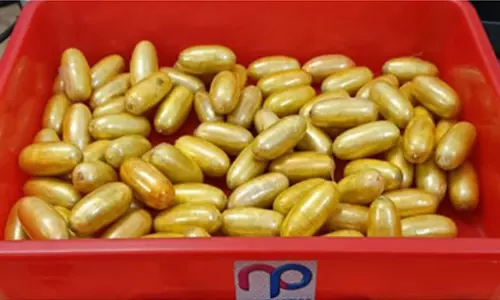 ரூ.8 கோடி மதிப்புள்ள ஹெராயின் மாத்திரைகள் வயிற்றில் வைத்து கடத்தல் - தான்சானியா நாட்டு பயணி கைது