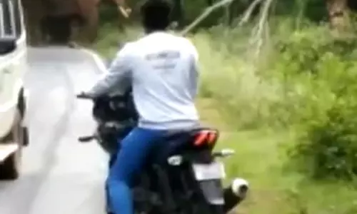 தேன்கனிக்கோட்டை அருகே சாலையில் சுற்றித்திரிந்த யானை தேன்கனிக்கோட்டை அருகே சாலையில் சுற்றித்திரிந்த யானை