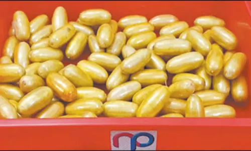 சென்னை விமான நிலையத்தில் ரூ.8¾ கோடி ஹெராயின் பறிமுதல்