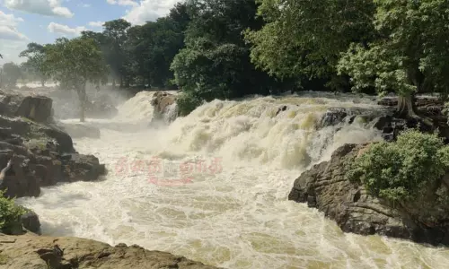 காவிரி நீர் பிடிப்பு பகுதியில் மீண்டும் மழை - ஒகேனக்கலுக்கு நீர்வரத்து 63 ஆயிரம் கனஅடியாக அதிகரிப்பு