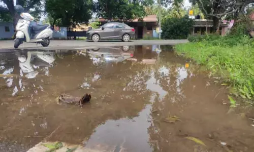 பொள்ளாச்சி அருகே குழாய் உடைந்து ரோட்டில் வீணாக ஓடிய குடிநீர்