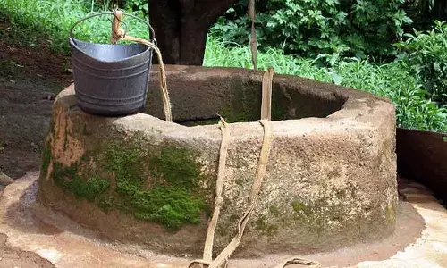 கிணற்றில் மர்மமான முறையில் இறந்து கிடந்த ஆடுகள்