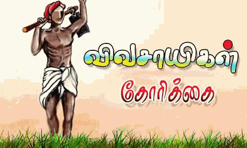 150 ஏக்கர் பருத்தி செடிகள் நீரில் மூழ்கி அழுகின