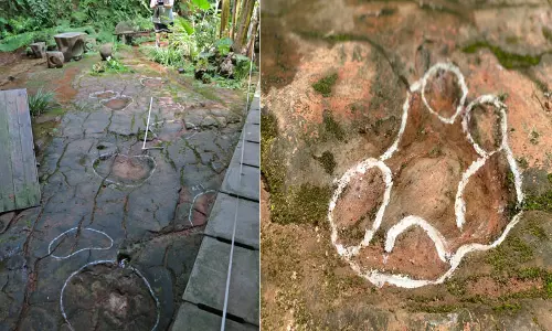 சீனாவில் 10 கோடி ஆண்டுகளுக்கு முந்தைய டைனோசர் கால் தடம் கண்டுபிடிப்பு