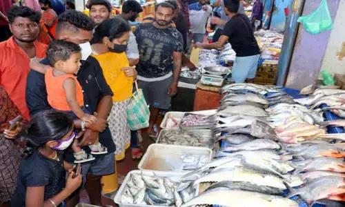 கோவையில் மீன் விலை உயர்வு