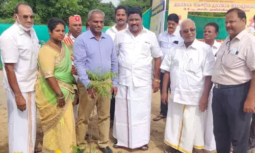 மரக்கன்று நடும் நிகழ்ச்சி மரக்கன்று நடும் நிகழ்ச்சி