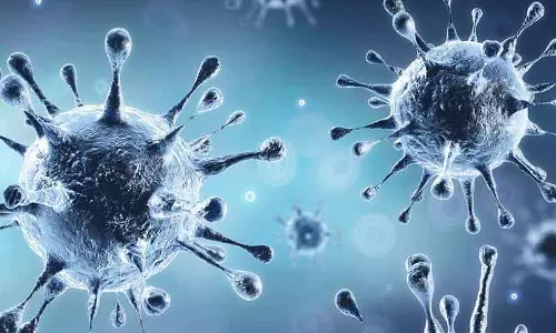 2,033 இடங்களில் கொரோனா தடுப்பூசி முகாம்