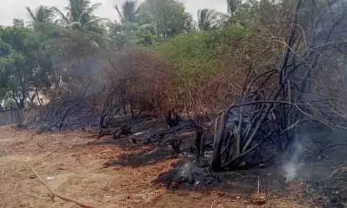 கோட்டைமேடு அரசு பள்ளி அருகே முட்புதரில் திடீர் தீ கோட்டைமேடு அரசு பள்ளி அருகே முட்புதரில் திடீர் தீ