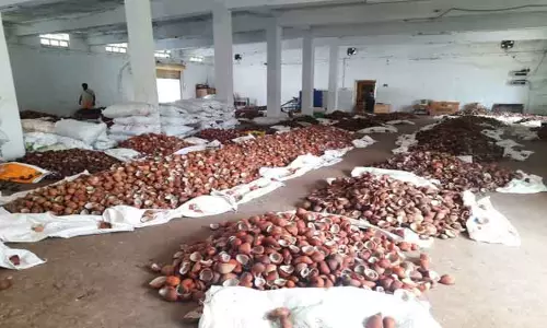 கொப்பரை தேங்காய் ஏலம் கொப்பரை தேங்காய் ஏலம்