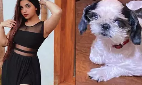 பெங்களூருவில் நாய் திருட்டு போனதால் கண்ணீர் விட்டு கதறிய சின்னத்திரை நடிகை