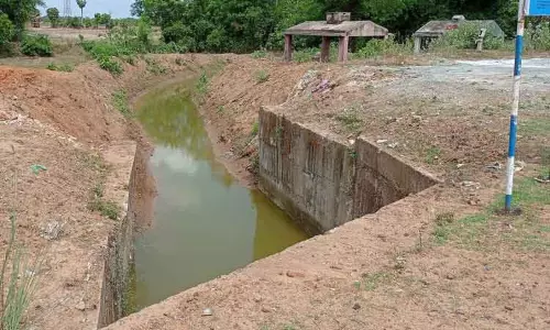 தினத்தந்தி செய்தி எதிரொலி  தென்கோவனூர் பாசன வாய்க்கால் தூர்வாரப்பட்டது