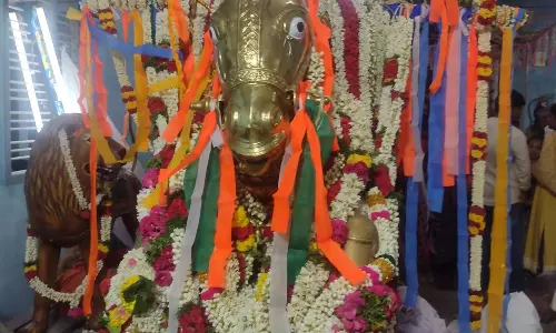 குதிரை வாகனத்தில் முத்து மாரியம்மன் வீதி உலா குதிரை வாகனத்தில் முத்து மாரியம்மன் வீதி உலா