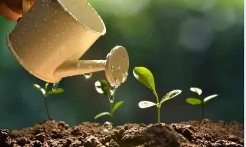 மரக்கன்றுகள் நடும் நிகழ்ச்சி மரக்கன்றுகள் நடும் நிகழ்ச்சி