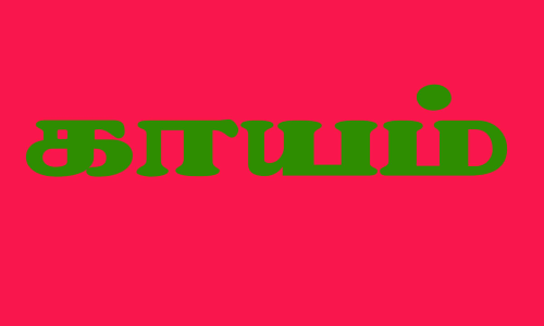 வெறிநாய் கடித்து 4 பேர் காயம்