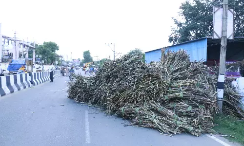 கரும்பு ஏற்றிச்சென்ற டிராக்டர் கவிழ்ந்து விபத்து