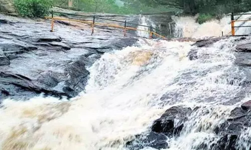 கும்பக்கரை அருவியில் சுற்றுலா பயணிகள் குளிக்க தடை - வனத்துறை அதிகாரிகள் அறிவிப்பு
